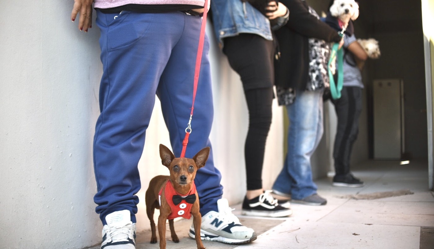 Continúa la campaña gratuita en distintos puntos de la ciudad | Información General