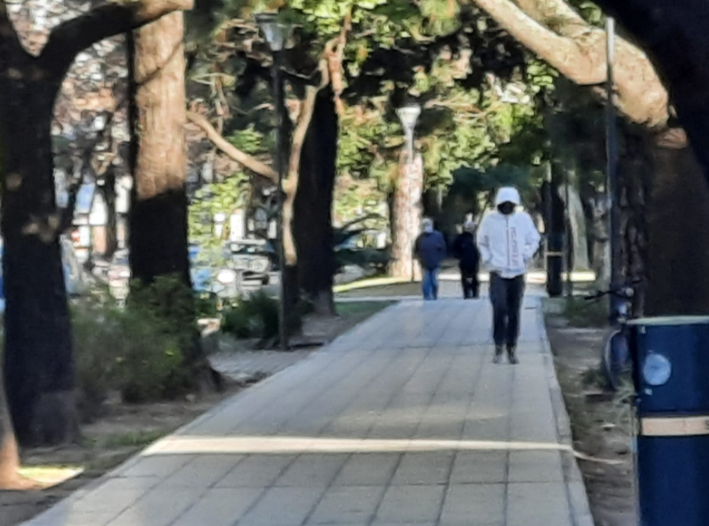 La semana arranca soleada pero con sensación térmica bajo cero en la ciudad | Información General