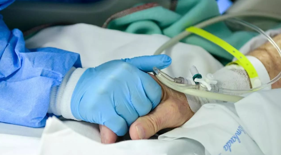 Informe del Conicet que compara el Covid con las principales causas de muerte en el país | Información General