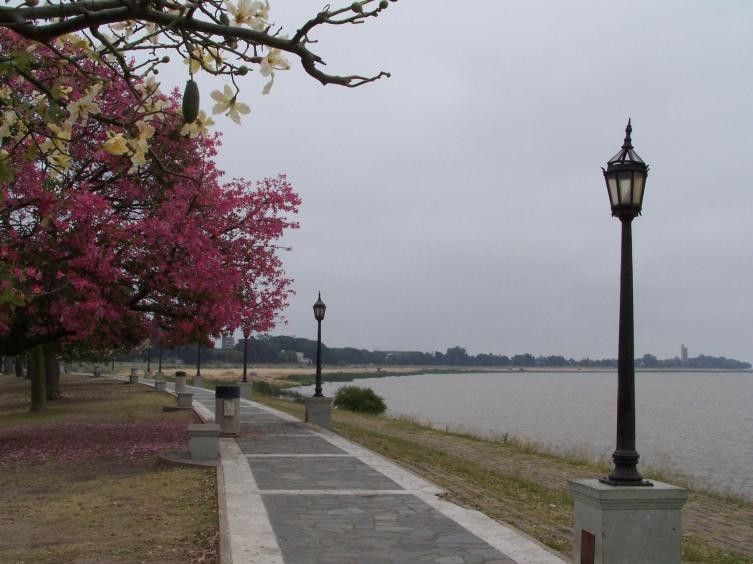 Clima: este sábado podría haber lluvias débiles en la noche | Información General