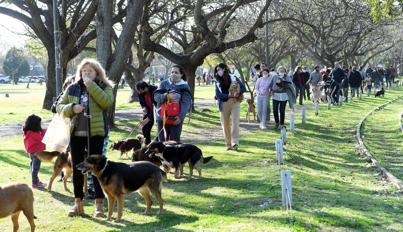 Continúa la campaña antirrábica y de castraciones | Información General