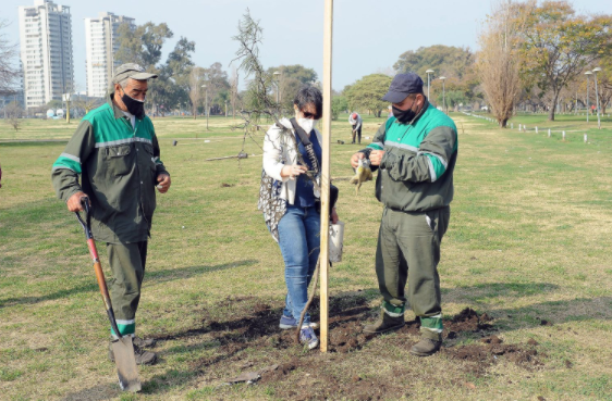 El municipio planta algarrobos en el Parque Federal | Información General