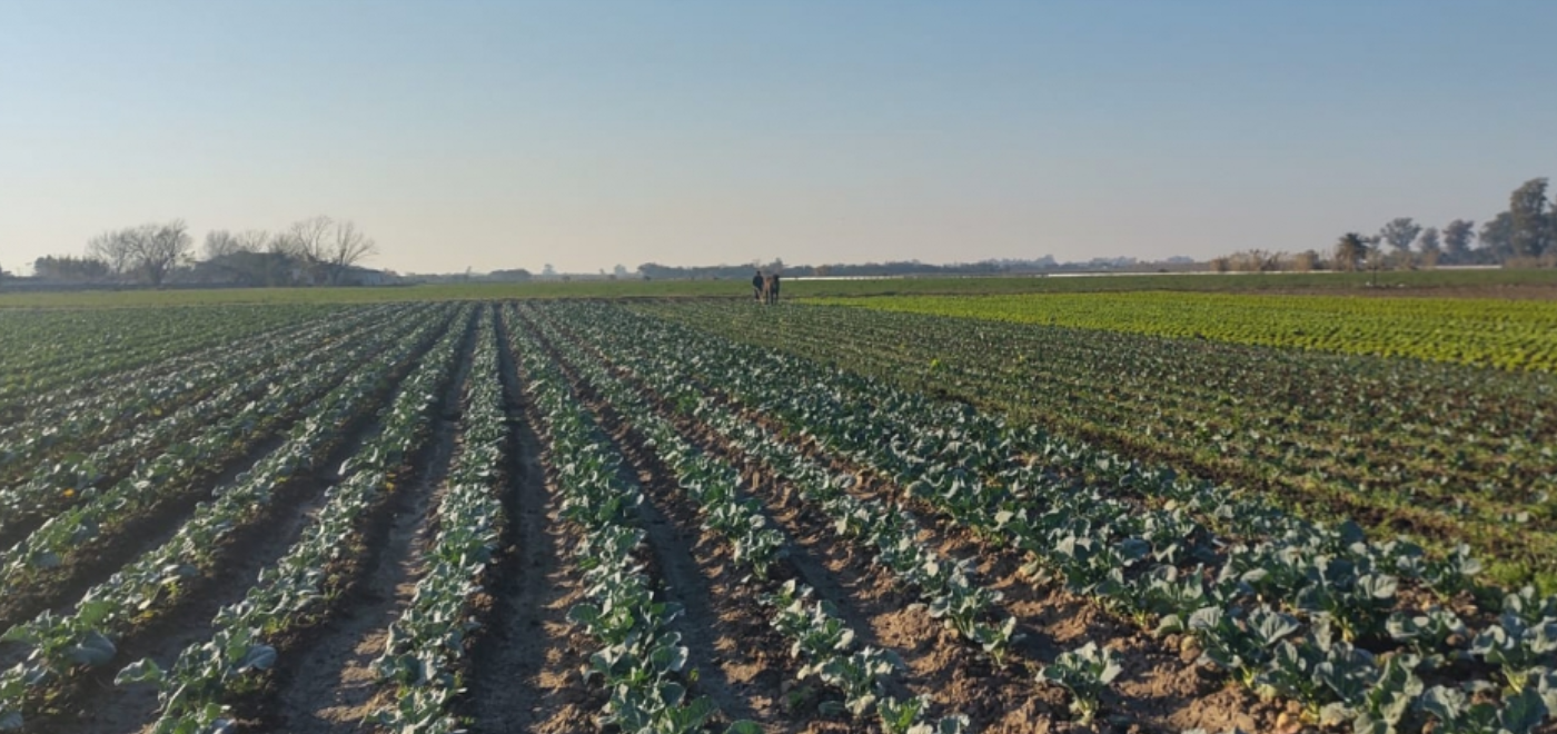Santa Fe avanza en la implementación de buenas prácticas agrícolas | Información General