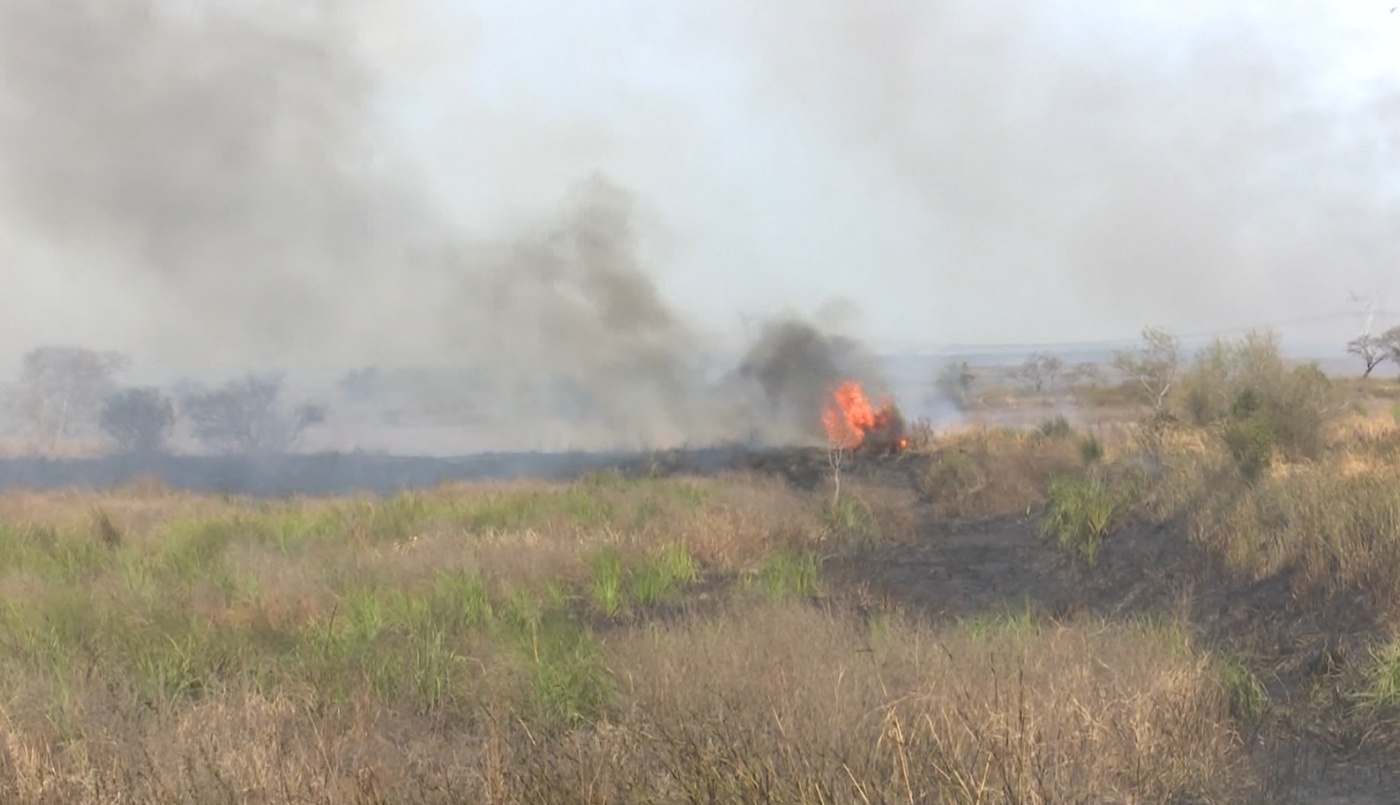 Ya van 6 días de lucha contra el fuego en la zona metropolitana de Santa Fe | Noticias