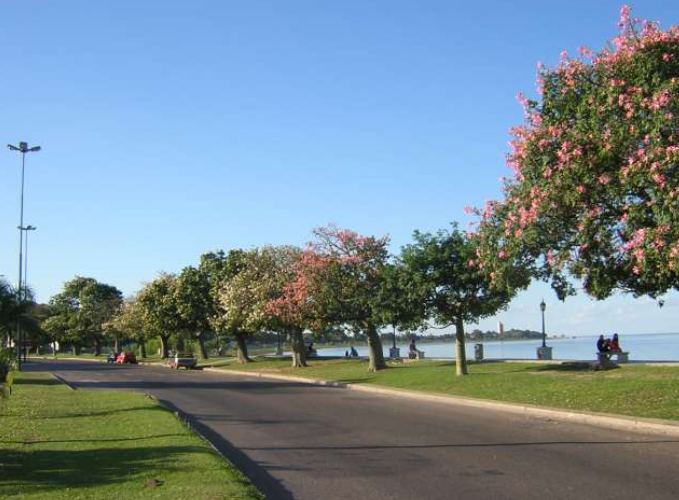 Llega la primavera con cielo despejado, buen tiempo y fresco | Información General