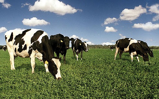 Nación y provincia fortalecen el vínculo con la cuenca láctea santafesina | Noticias