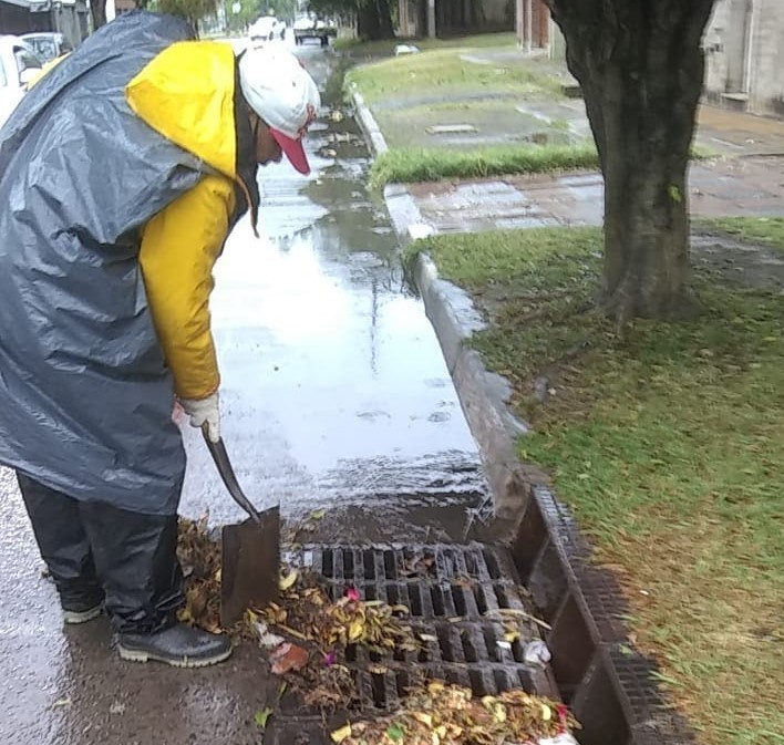 Consecuencias del temporal: cayeron casi 50 mm y se registraron 36 reclamos | Información General