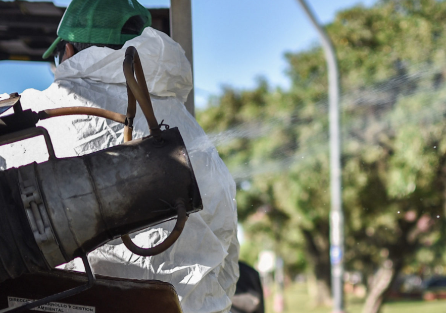 El municipio comenzó con los operativos de fumigación en la ciudad | Noticias