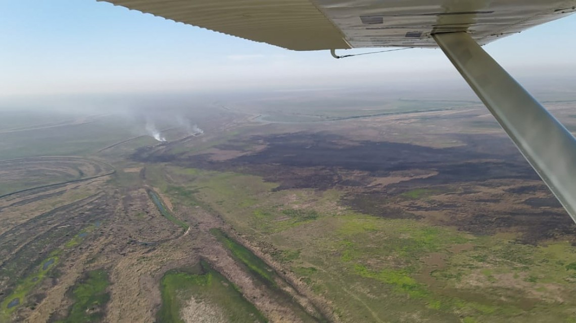 Volvieron los incendios a las islas del Delta del Paraná | Noticias