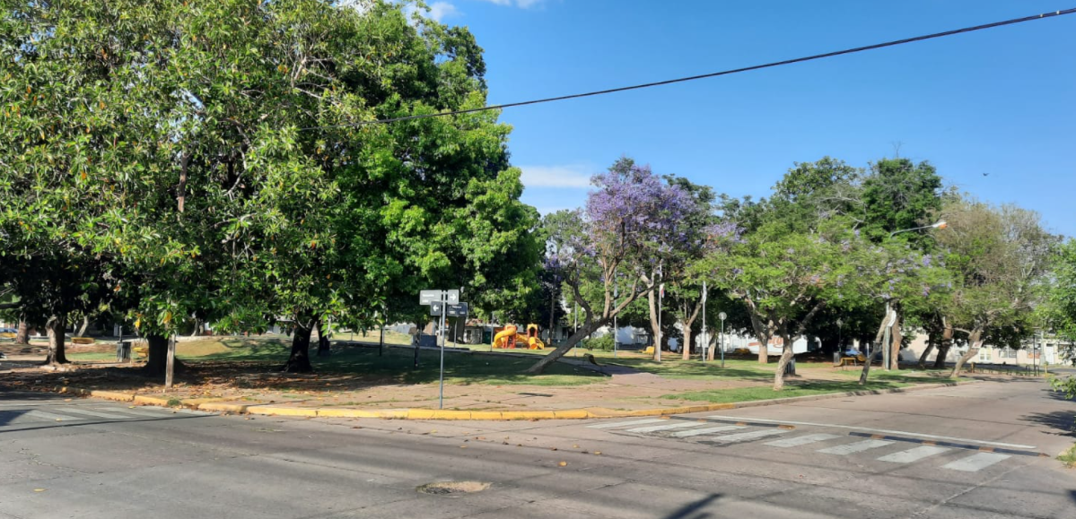 Empiezan a mejorar gradualmente las condiciones del tiempo en la ciudad | Información General