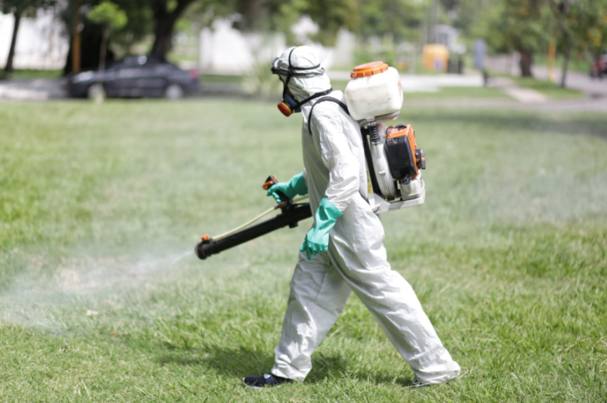 Fumigación, bacheo e iluminación: Los trabajos de este jueves | Información General