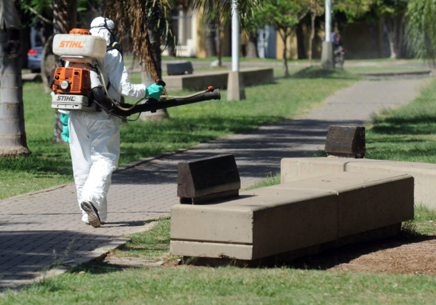 Los trabajos de bacheo, fumigación e iluminación previstos para hoy | Información General