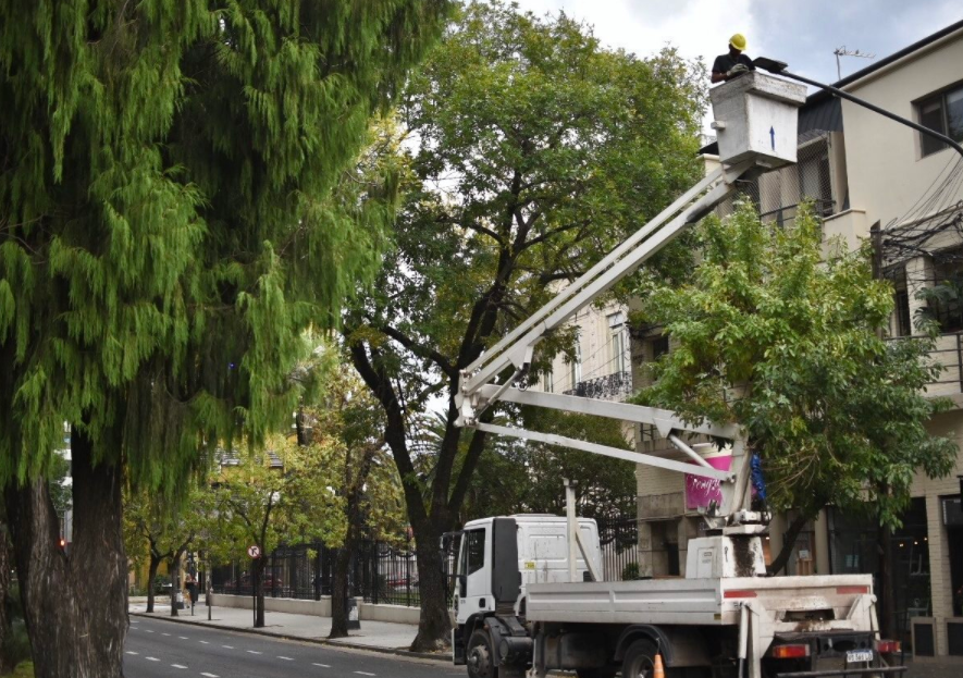 Las tareas de bacheo, fumigación e iluminación previstas para hoy | Información General