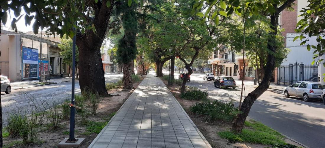 Feriado con buen tiempo, cielo despejado y muy caluroso en la ciudad | Noticias