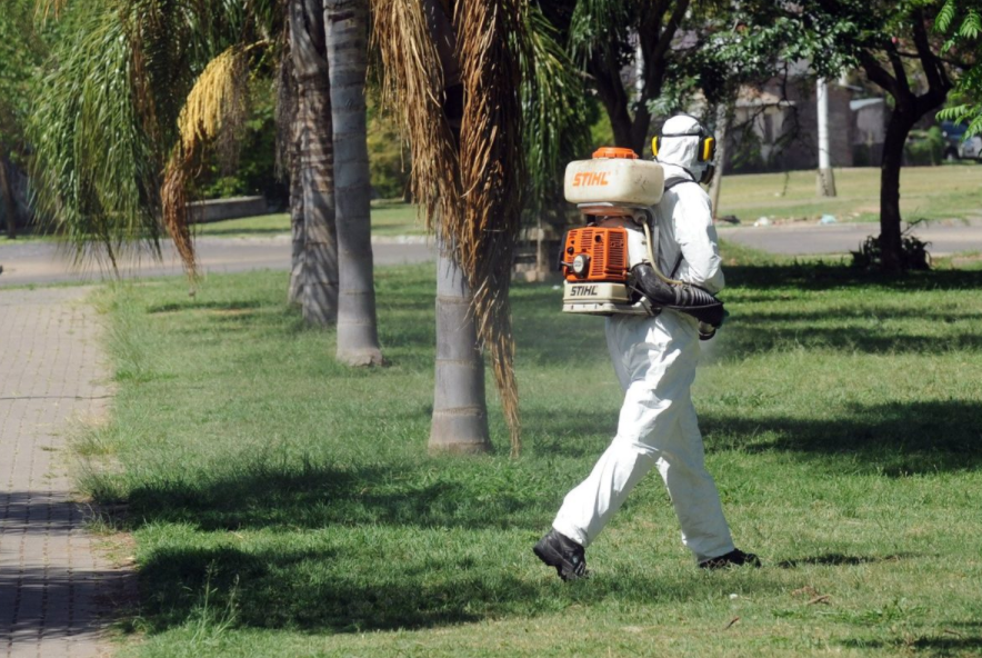Las tareas de fumigación, bacheo e iluminación previstas para este lunes | Información General