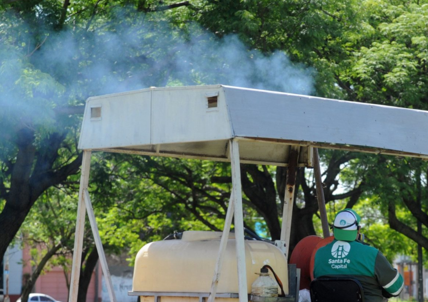 Fumigación, iluminación y bacheo: Los trabajos previstos para hoy | Información General