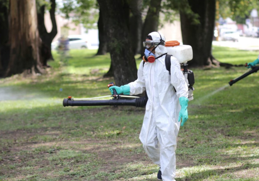 Los trabajos de fumigación, bacheo e iluminación previstos para este 30 de diciembre | Información General