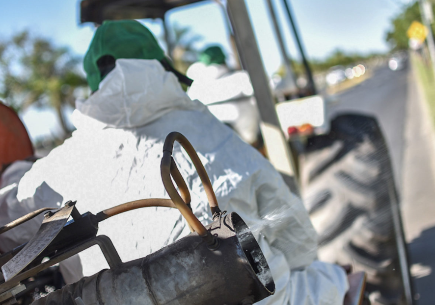 Habrá tareas de fumigación, bacheo e iluminación durante este miércoles | Información General