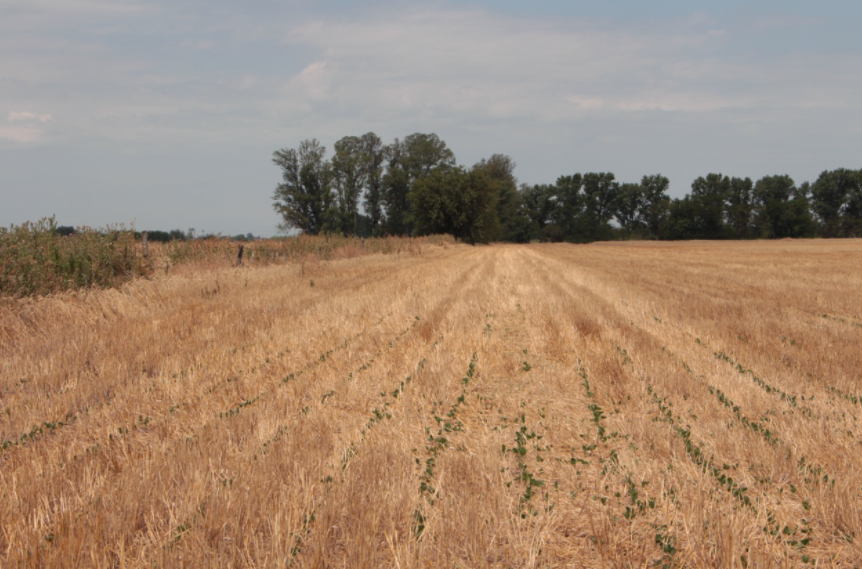 Cómo cumplió Santa Fe la Ley de Fitosanitarios en 2021 | Noticias