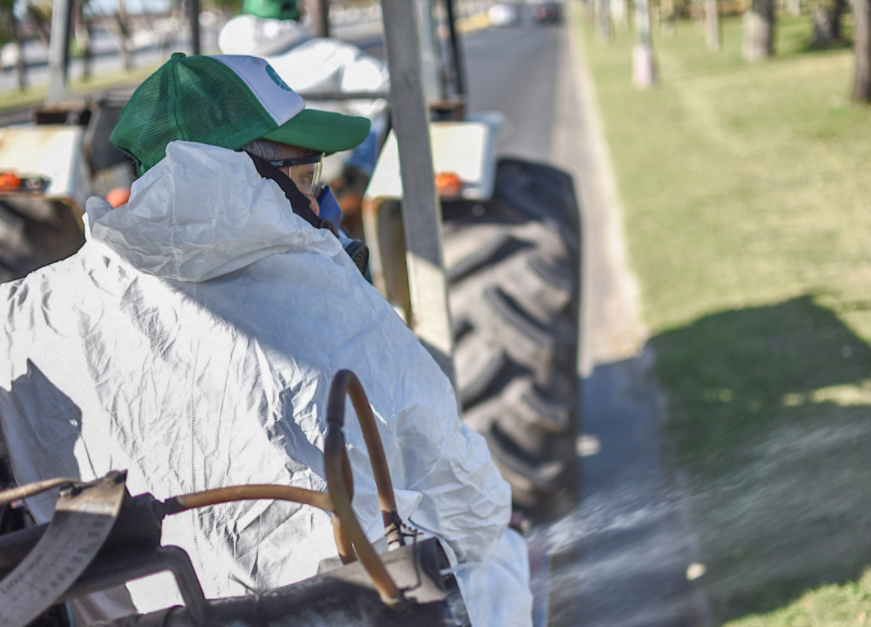 Las tareas de fumigación, bacheo e iluminación previstas para este jueves 13 | Información General