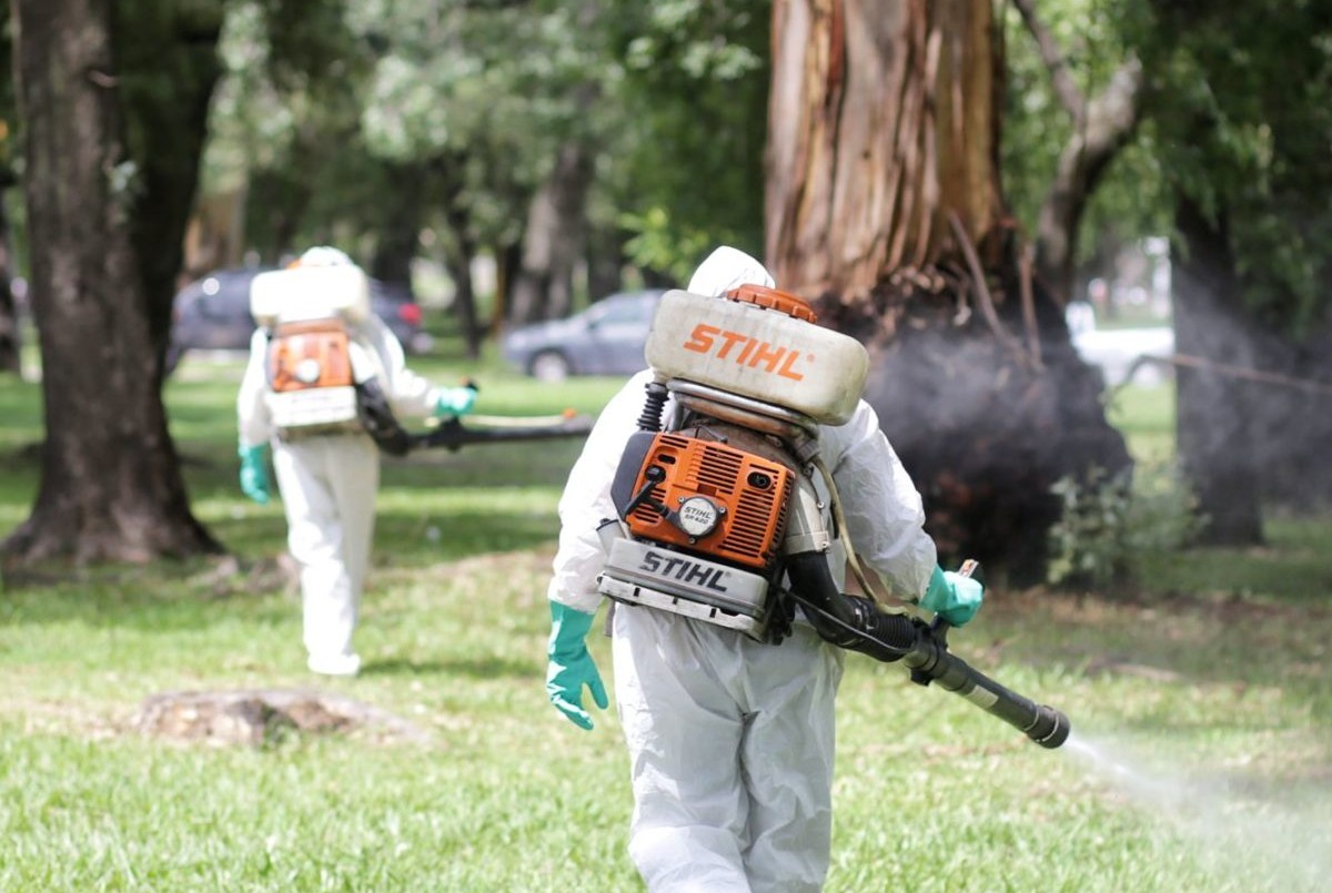Trabajos de fumigación, iluminación y bacheo previstos para la jornada | Información General