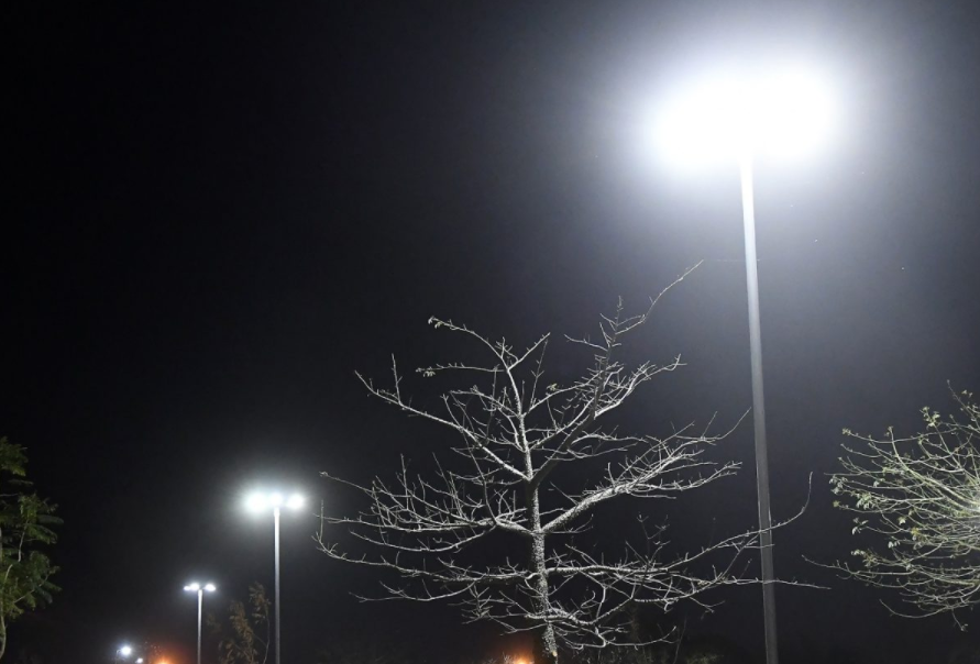 Las tareas de iluminación, bacheo y fumigación previstas para este 14 de febrero | Información General