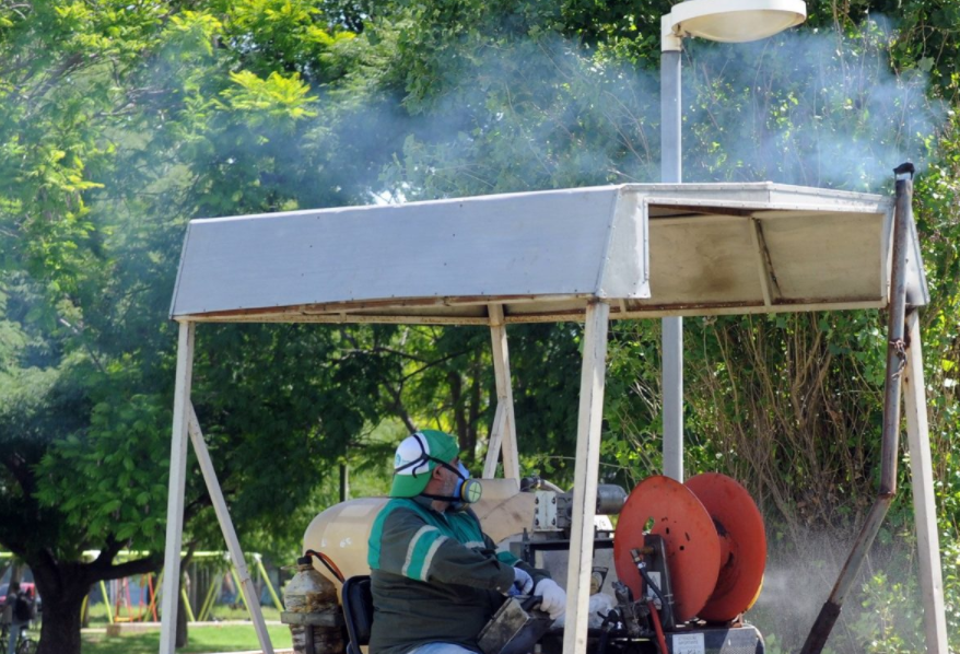Fumigación, bacheo e iluminación: Los trabajos previstos para este martes | Información General