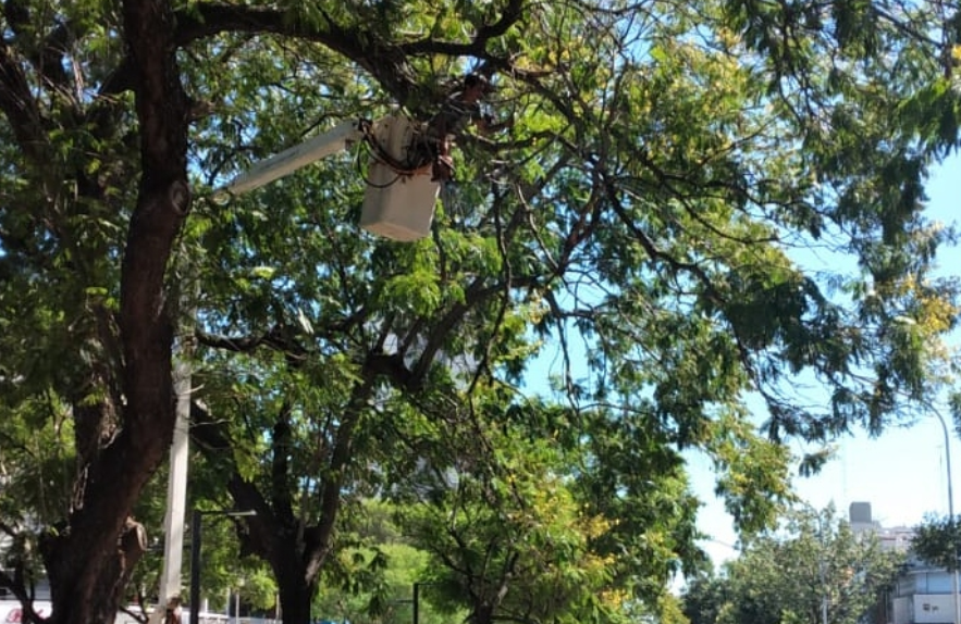 Las tareas de bacheo, fumigación e iluminación previstas para este 17 de febrero | Información General