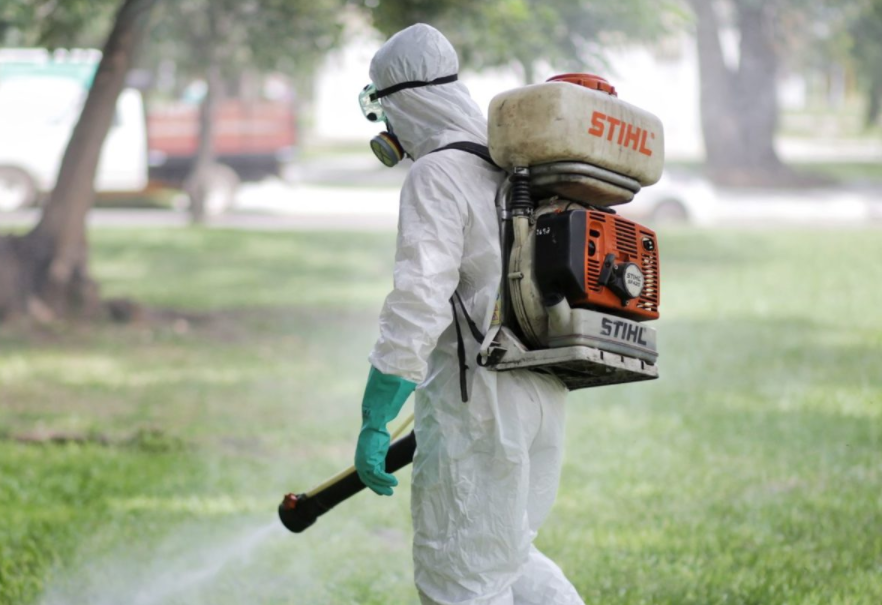 Los trabajos de fumigación, bacheo e iluminación previstos para este 21 de febrero | Información General