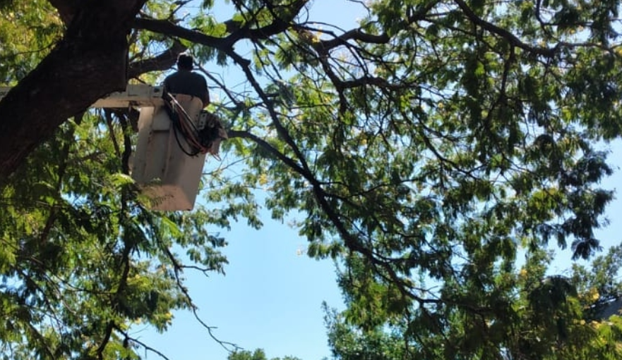 Iluminación, bacheo y fumigación: Los trabajos previstos para este jueves 24 | Información General