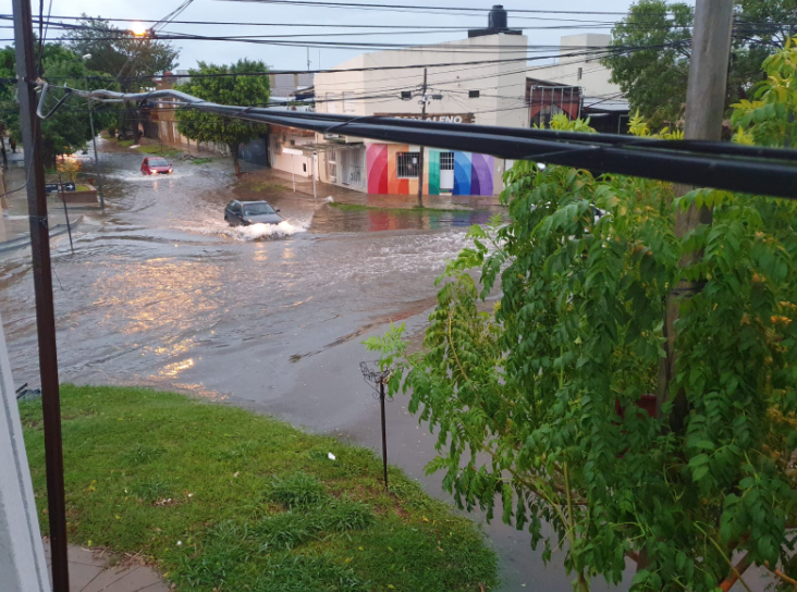 Calles anegadas y árboles caídos: Los efectos del temporal en la ciudad | Noticias