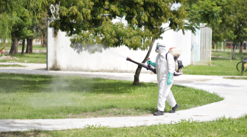 Trabajos de fumigación, iluminación y bacheo previstos para este martes 8 de marzo | Información General