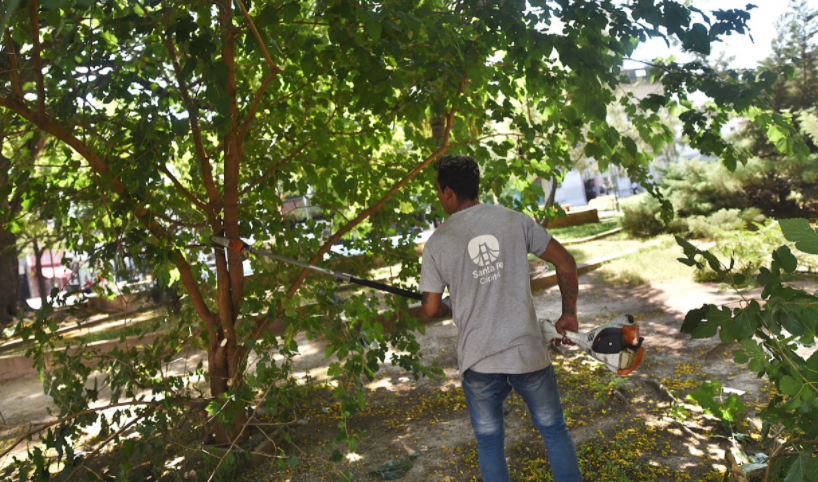 Trabajos de bacheo, iluminación y fumigación previstos para este 15 de marzo | Información General