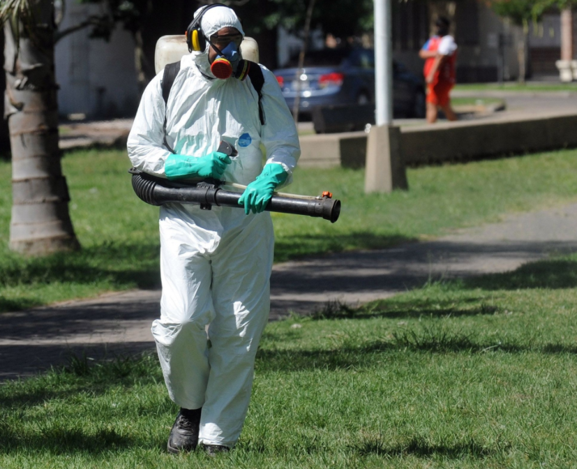 Trabajos de fumigación, iluminación y bacheo previstos para este 16 de marzo | Información General