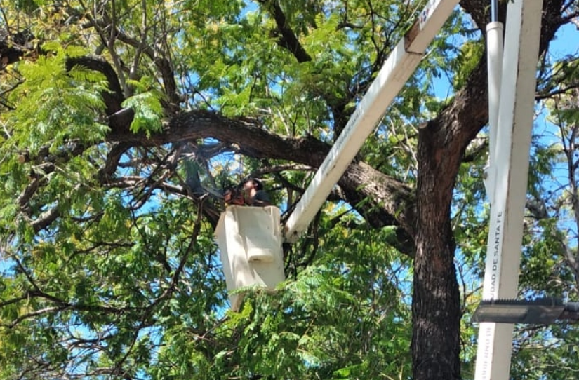 Cómo serán los trabajos de fumigación, bacheo e iluminación previstos para hoy | Información General