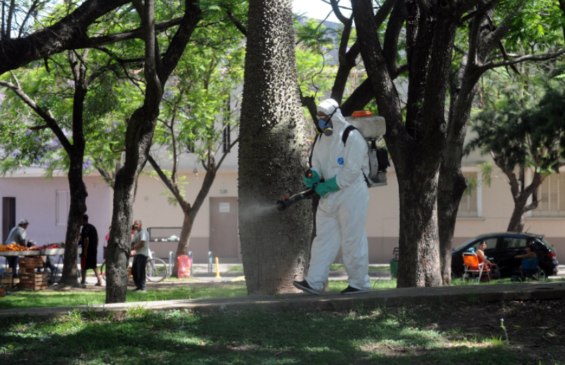 Las tareas de fumigación, bacheo e iluminación previstas para este 4 de abril | Información General