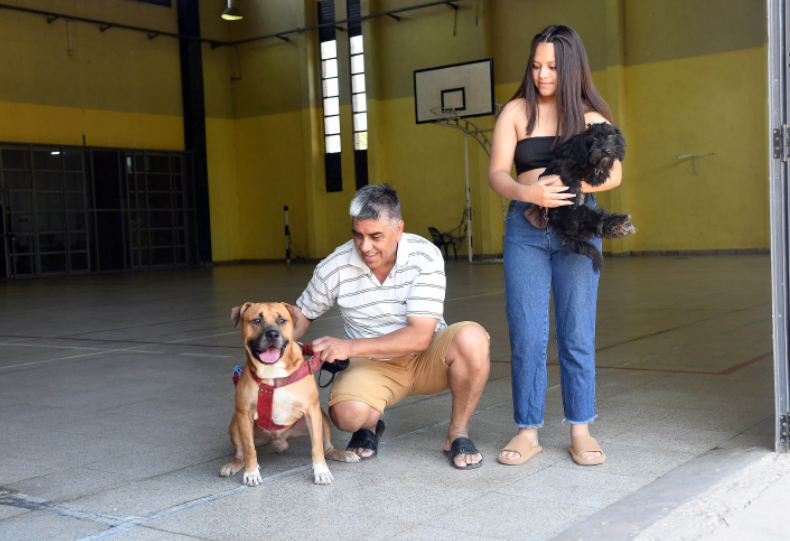 El Mes del Animal se celebrará con diversas actividades | Información General