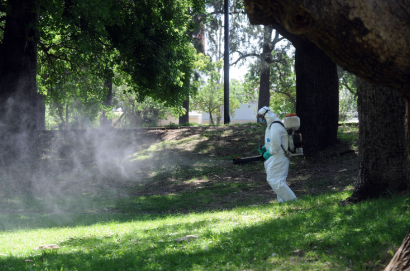 Los trabajos de bacheo, fumigación e iluminación previstos para este 8 de abril | Información General