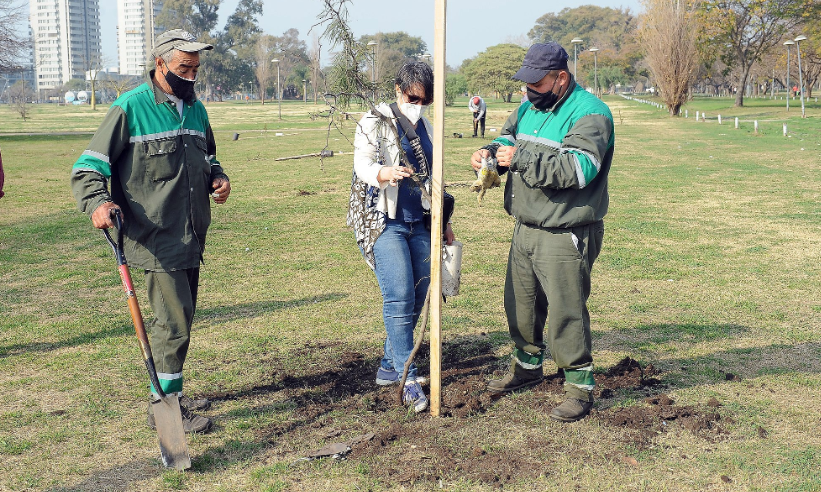Las tareas de bacheo, fumigación e iluminación previstas para este 13 de abril | Información General