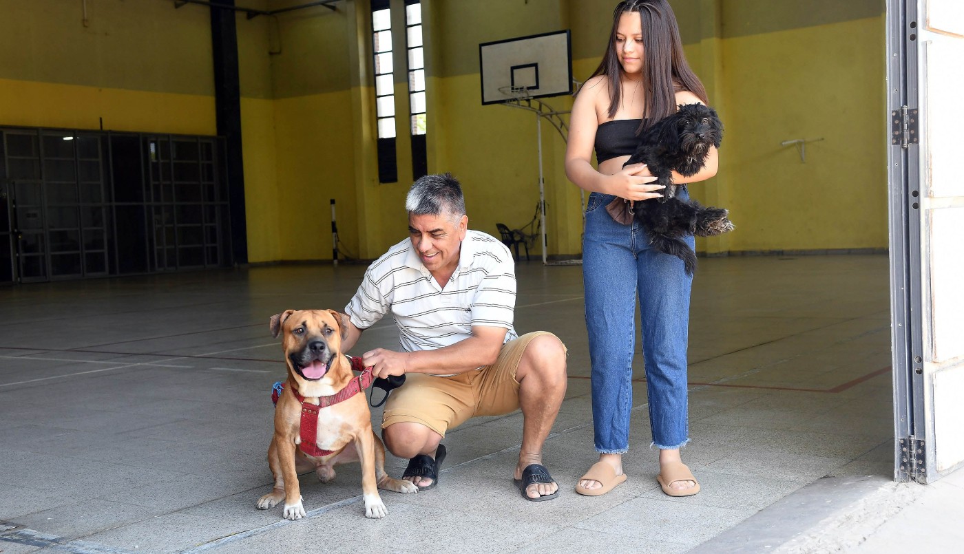 Adopciones y vacunación de animales de compañía: ¿Dónde y cuándo? | Información General