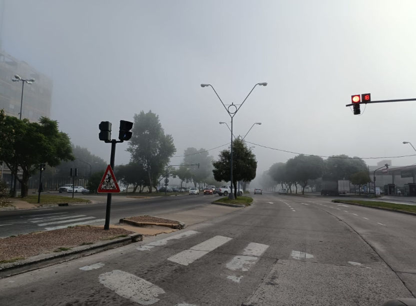Densos bancos de niebla complican el tránsito en las rutas santafesinas | Información General