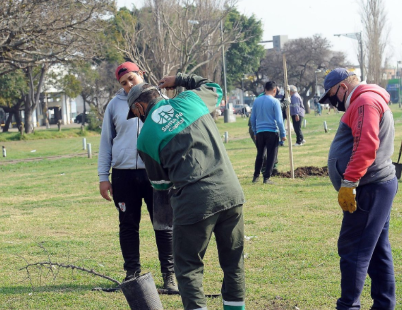 Trabajos de iluminación, arbolado y bacheo previstos para este 25 de abril | Información General