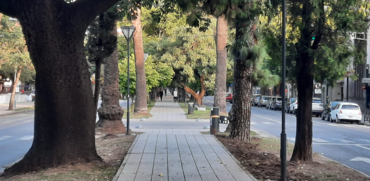 Se esperan temperaturas poco usuales para este otoño en la ciudad | Información General