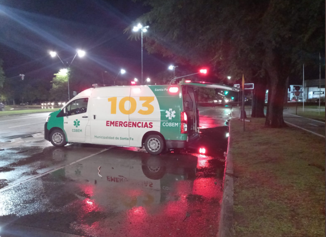 Los cortes de tránsito por árboles caídos en la ciudad | Información General