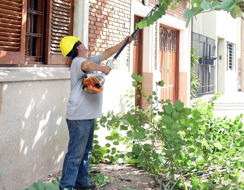Trabajos de iluminación, arbolado y bacheo previstos para este 28 de abril | Información General
