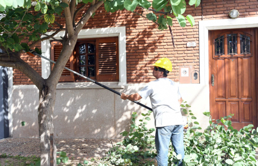 Las tareas de arbolado, iluminación y bacheo previstas para este 3 de mayo | Información General