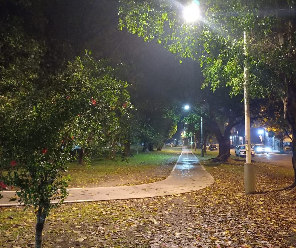 Trabajos de iluminación, arbolado y bacheo previstos para este 10 de mayo | Información General