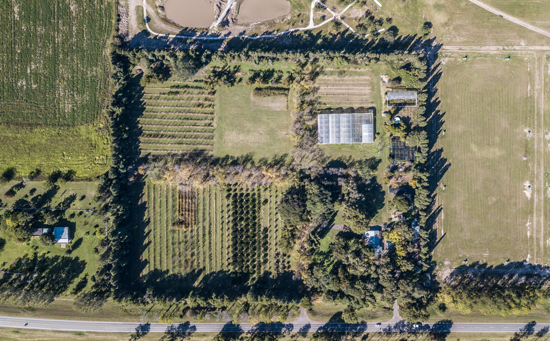 La UNL plantará un árbol por cada graduada y graduado | Información General