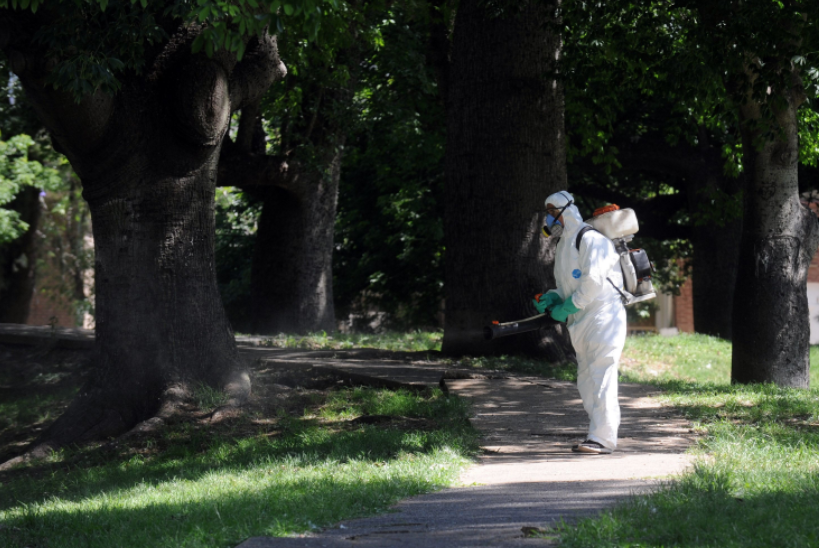 Siguen los trabajos de fumigación ante la invasión de mosquitos | Información General