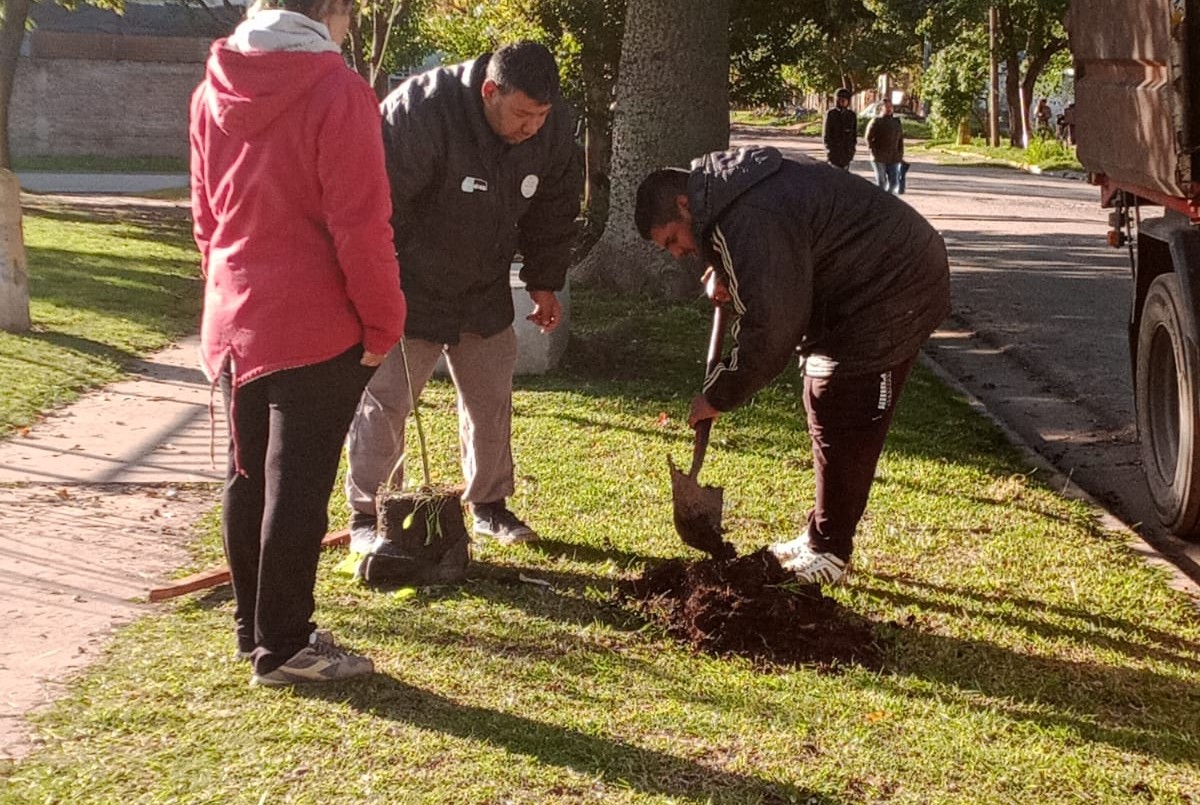Trabajos de fumigación, iluminación y bacheo previstos para este 12 de mayo | Información General